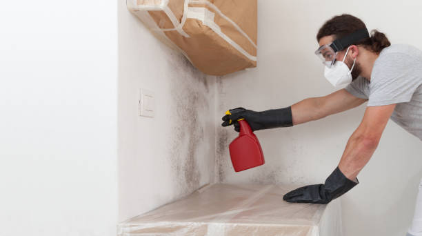 Attic Mold Remediation treatment on roof deck in Austell