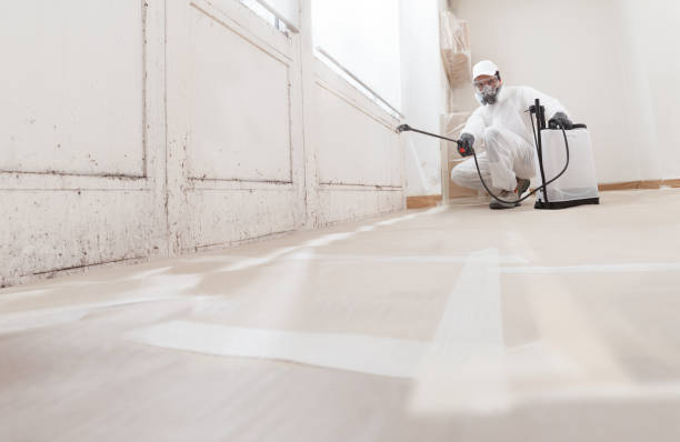Black mold remediation team in Austell
